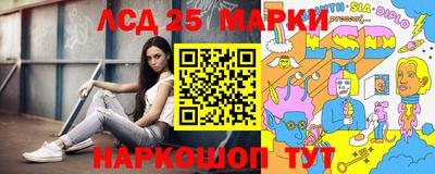 индика Заволжье
