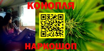 индика Заволжье